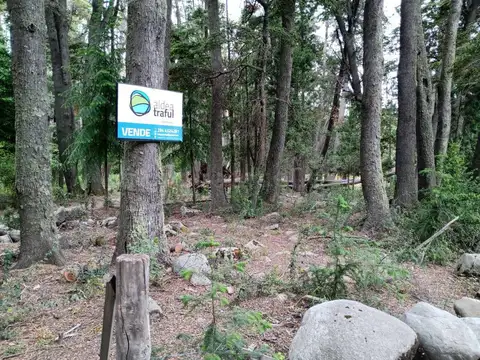 TERRENO EN VENTA EN VILLA TRAFUL CON ARBOLES AÑEJOS