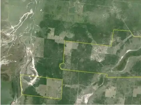Campo Vera
