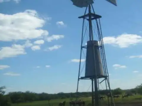 Campo Vera