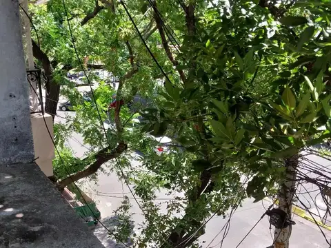 Departamento en Alquiler Permite mascota