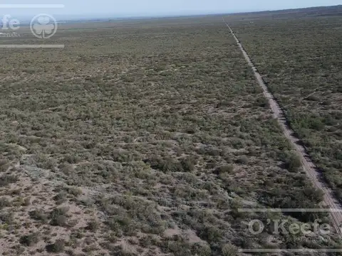 Venta de Campo en Ugarteche, Mendoza.  16 has a desarrollar a mts de ruta 86.