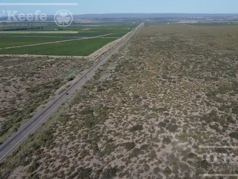 Chacra en venta de 16 has en Mendoza