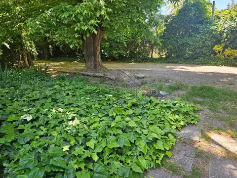 Casa en Alquiler de 3 dormitorios