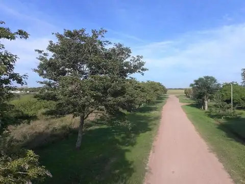 Terreno en Venta, FOT 100