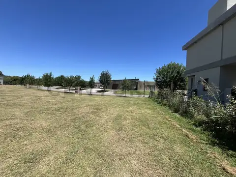 Terreno en Venta 50  mts Fondo