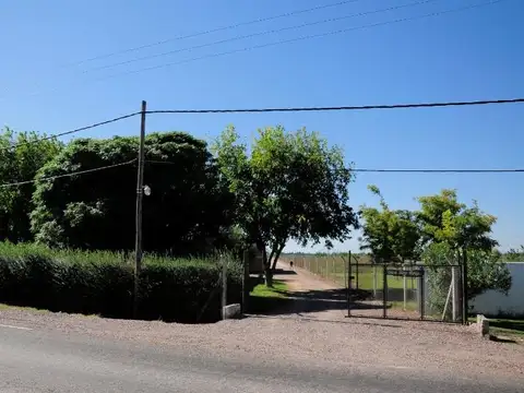 Campo en Venta de 42  ha