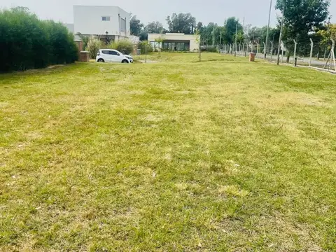Terreno en Venta de 550,0 m2