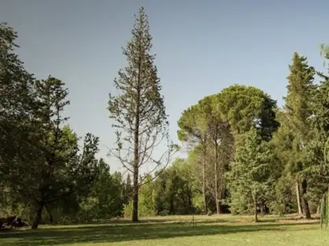 Quinta en Venta en Las Paredes, USD 950.000