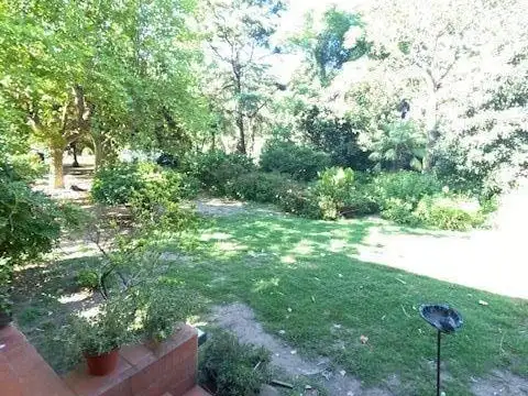 Quinta . | Lucia B. Pastor