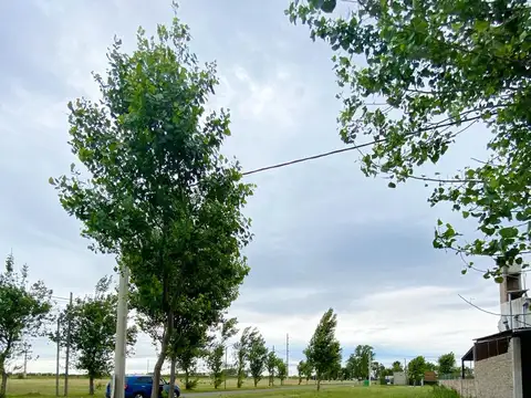 Tierra de Sueños alvear - Terreno