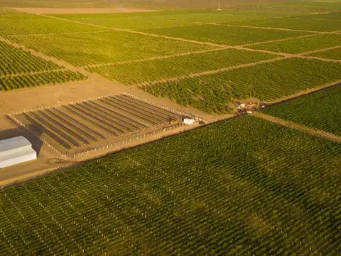 Terreno en Tinogasta