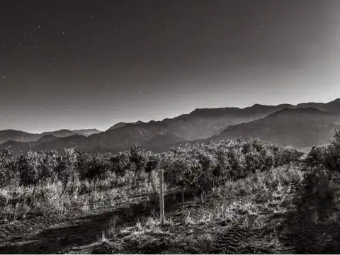 Terreno en Tinogasta