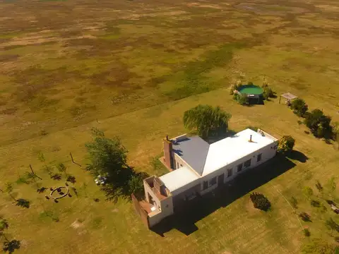 campo en venta de 40 Ha San Antonio de Areco