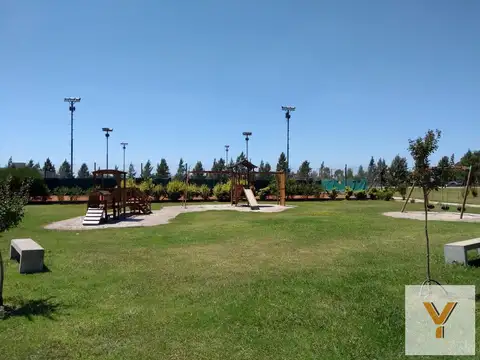 Campos de Roca II