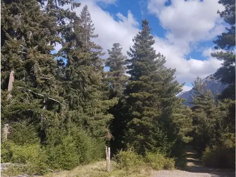 (058A) EL HOYO (El Pedregoso) Terreno de 16Has.