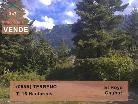 (058A) EL HOYO (El Pedregoso) Terreno de 16Has.