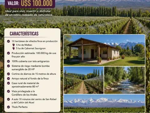 Finca - San Rafael