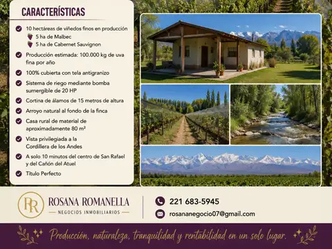 Finca - San Rafael