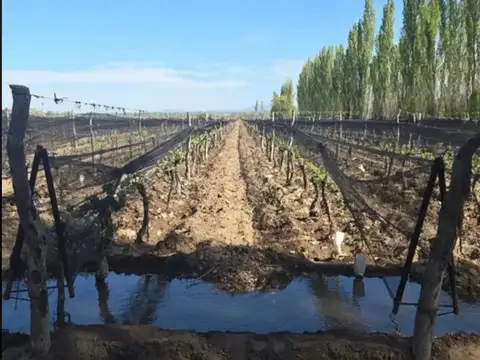 San Rafael de Mendoza