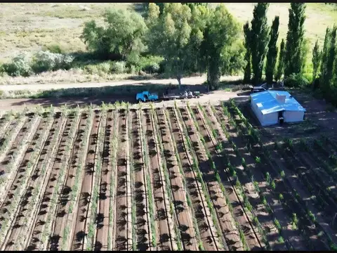 San Rafael de Mendoza
