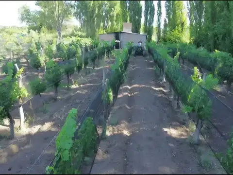 Finca - San Rafael