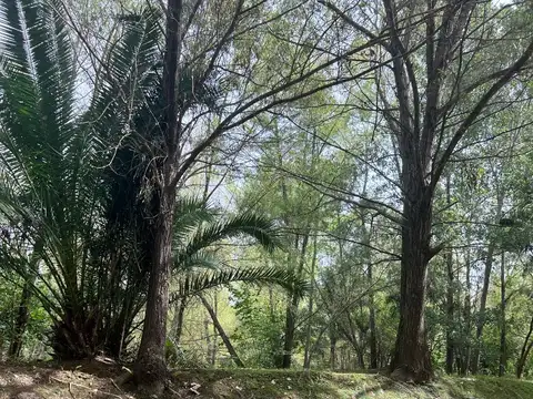 Arroyo Sandor Mikler Y Canal De La Serna 1 100