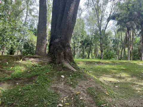 Terreno en Venta 10  mts Fondo