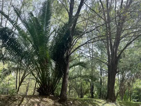 Terreno en Venta 40  mts Fondo