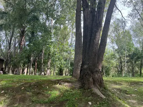 Terreno en Venta 10  mts Frente