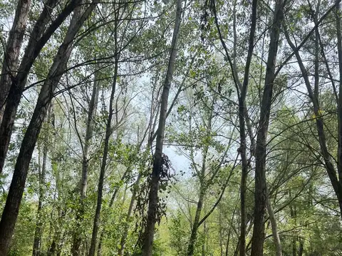 Terreno Lote  En Venta En Delta, Tigre, G.b.a. Zona Norte