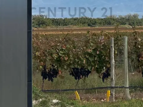 Casa en Venta en Tupungato, USD 189.000