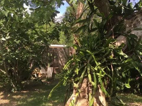 Casas Venta Villa ConstituciÃ³n