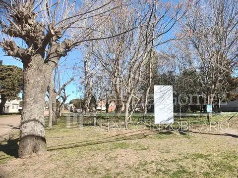 Av. Pueyrredon y Rico