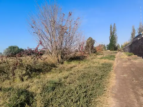 Campo en venta - 8 Hectáreas - Guaymallén