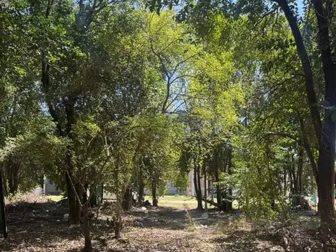 Terreno en Venta 30  mts Fondo