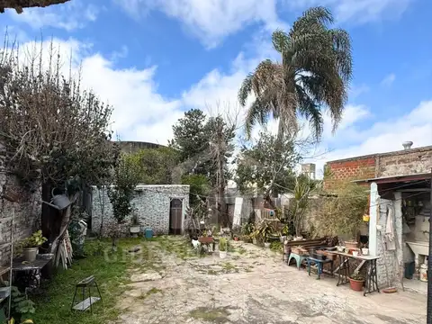 Independencia  al 300