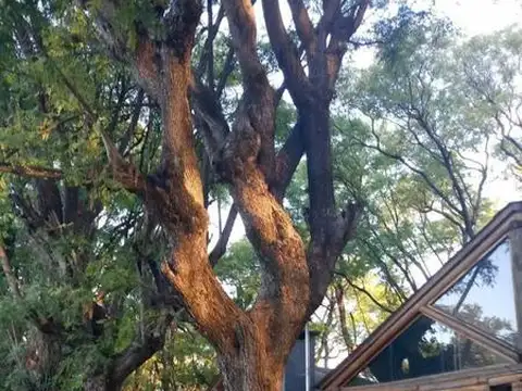 Se  vende complejo de cabañas en Sauce Viejo