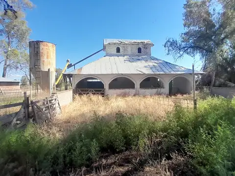 El Carrizal, Lujan de Cuyo