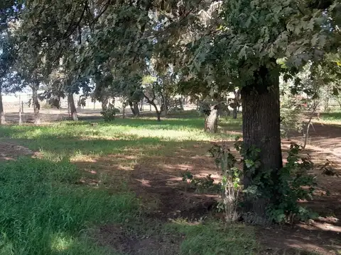 Finca en El Carrizal, Lujan de Cuyo