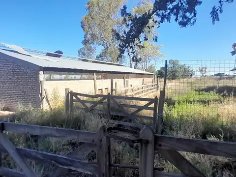 Finca en El Carrizal, Lujan de Cuyo