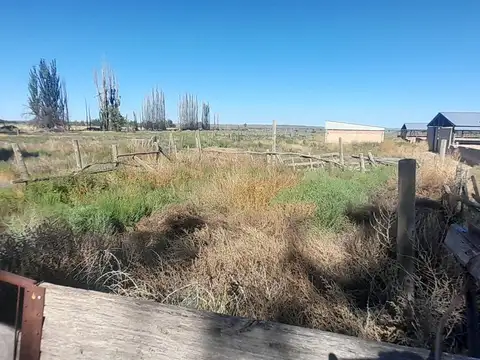 El Carrizal, Lujan de Cuyo