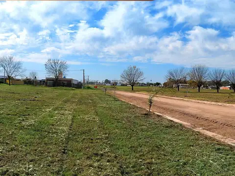 Mendoza