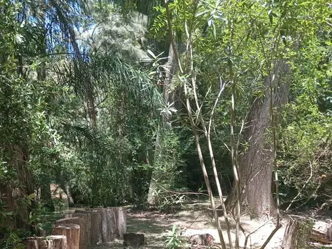 Terreno en Venta de 67000,0 m2