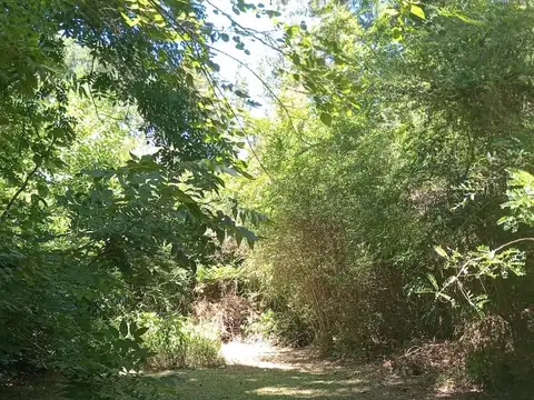 Terreno en Venta en Arroyo Carapachay, USD 65.000