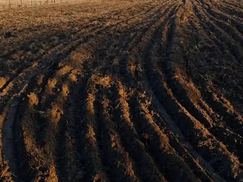 Terreno en venta Ruta 188 y Echeverria Gral Alvear