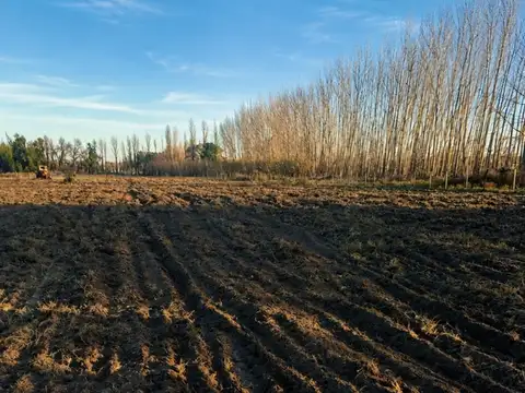 Terreno en Venta en General Alvear, USD 145.000