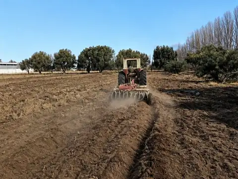 Terreno en Venta de 10550,0 m2