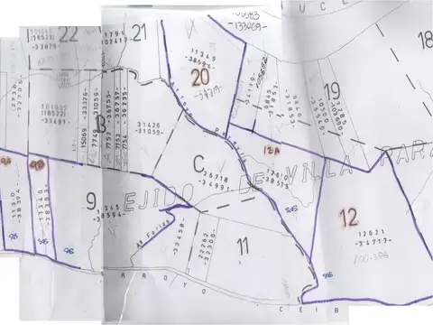 Rio / Arroyo Sauce 100