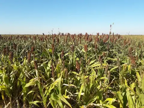 2500 ha - A tranquera cerrada - Malbran - Sgo del Estero