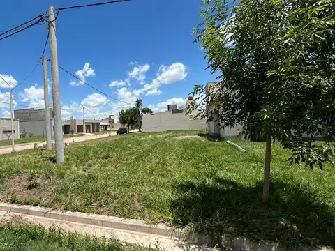 Mauricio Rojas esq. Aime Paine al NaN